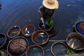A trip Guide to Epe Fish Market, Lagos - Dream Africa