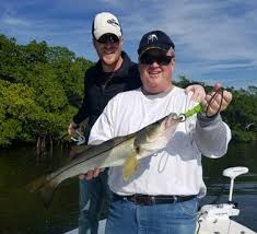 Maybe you would like to learn more about one of these? Tampa Fishing Charters Tampa Fishing Guides Fish This Charters