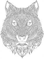 Wolf Ausmalbilder Fur Erwachsene