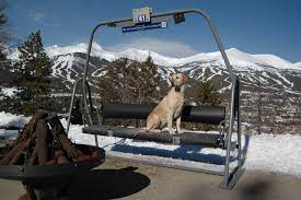 we sell ski lift chair from the old falcon chairlift breckenridge ski resort dogs and people love them ski lift chair ski lift chair lift