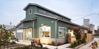 As of june 2021, our hospital has relocated to: A Practical Guide To Veterinary Hospital Design