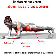 Exercice Dos Sans Materiel Et Programme Complet Gainage Ventral Exercice Dos Programme De Musculation Complet
