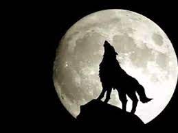 Facebook is showing information to help you better understand the purpose of a page. Lolongan Srigala 1 Youtube