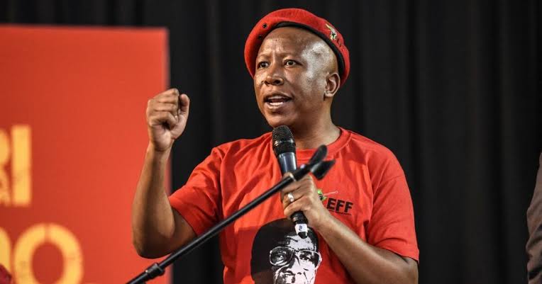 Open Letter to Julius Malema