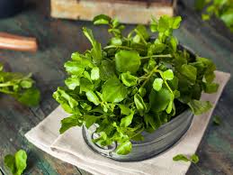 Les Bredes Legumes Feuilles Des Tropiques