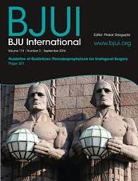 Mirabegron causes relaxation of human and rat corpus cavernosum: could it  be a potential therapy for erectile dysfunction?
