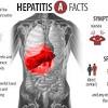 Hepatitis a, b, and c spread in very different ways, causing mild to serious effects on the liver. 1