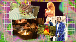 6man august 4, 2020 celebrities 1 comment. The 28 Cultural Objects That Helped Us Survive 2020 Gq