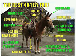 This Is The Only Kind Of 4x4 I Can Afford Best 4x4 Funny Horses 4x4