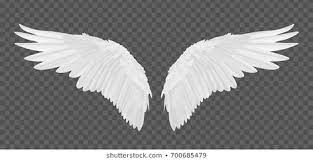 Pin By Inna Dusdal On Krylya Angel Wings Pictures Angel Wings Vector Angel Wings Png