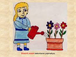 Bir Kedi Gordum Sanki Ppt Indir