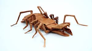Not counting the length of their legs, they can range in size from zero point four inches to six inches. Origami Camel Spider M H G Maeng Hyeon Gyu Youtube