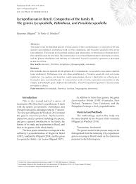 Image result for Lycopodiella sarcocaulon