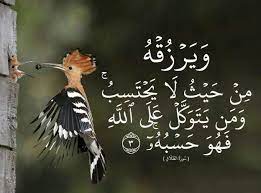 Pin By كلمات On Islam Quran Islamic Pictures Islam Quran Animals
