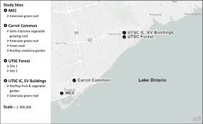 The cheapest way to get from toronto to black mountain college costs only $128, and the quickest way takes just 6 hours. Map Of Study Sites In Toronto Ontario Canada Mec Mountain Equipment Download Scientific Diagram