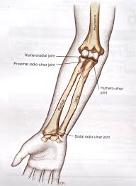Image result for Forearm Fracture