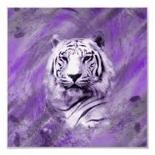 purple tiger poster zazzle com tiger poster tiger pictures tiger art