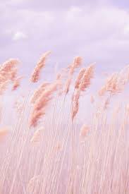 Scopri ricette, idee per la casa, consigli di stile e altre idee da provare. Pink Aesthetic Wallpaper Lucu Dan Imut 2020 Facebook