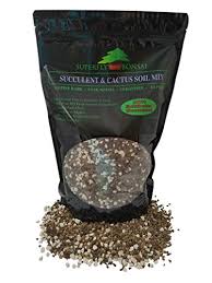 В жизни так бывает lizer. Best Soil For Succulents High Tech Gardening