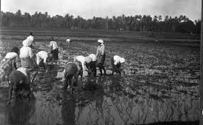 Raya narogong no.55, limus nunggal, kec. Cileungsi Bogor Wikipedia Bahasa Indonesia Ensiklopedia Bebas