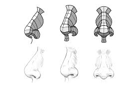 There is only four simple steps to complete this tutorial on the nose. How To Draw A Nose