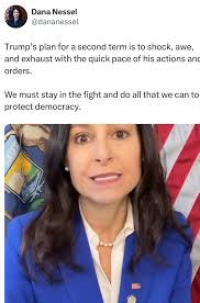 Michigan Attorney General, Dana Nessel says you need to speak out against  President Trump to help save the democracy.