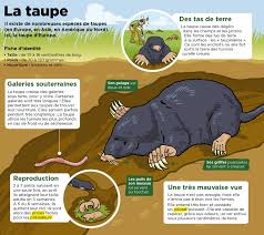 Epingle Par Abditch219 Sur Mon Quotidien Culture G Documentaire Animaux Espace Numerique De Travail Vie Animale