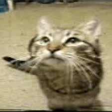 Cover art for From the start (meowfey)