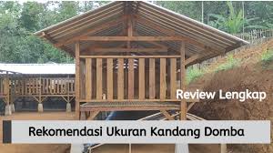 Kandang kambing yang sehat memenuhi standar kesehatan. Ukuran Kandang Koloni Ternak Dan Pengemukan Youtube