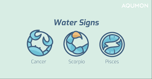 However, you can reverse failure into success by working hard. Horoscope 2021 Financial Predictions Part1 Aqumon