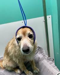 Adam Peitz (@adam_peitz) • Instagram photos and videos