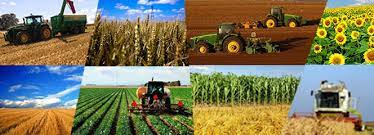 Fondul european agricol pentru dezvoltare rurală (fega) este un fond creat de uniunea europeană în vederea dezvoltării agriculturii statelor membre ale acesteia. Fonduri Europene De 93 Milioane Euro Pentru Investitii In Fermele Mici Cepu