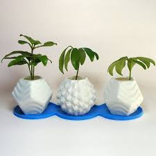 Https Img1 Etsystatic Com 116 2 5880816 Il 570xn 850538831 Qd5d Jpg 3d Printing Small Potted Plants 3d Printer Designs