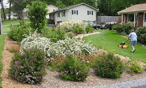 Newly planted trees and shrubs should be thoroughly soaked with water two or three times per week for the first month. Landscaping Tips Watersense Us Epa