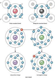 Difference Between Teaching Chemistry Covalent Bonding Chemistry Lessons