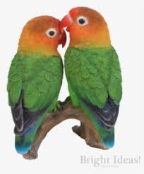 20 trend terbaru gambar lovebird kartun png mopppy. Lovebird Png Images Transparent Lovebird Image Download Pngitem