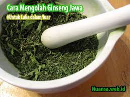 Mengonsumsi obat kuat dari bahan alami juga akan terhindar dari risiko bahaya. Cara Mengolah Ginseng Jawa Manfaatnya