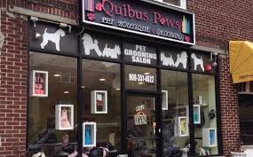 Check spelling or type a new query. Pet Grooming Salon And Boutique By Quibus Paws Pet Grooming Boutique In Elizabeth Nj Alignable