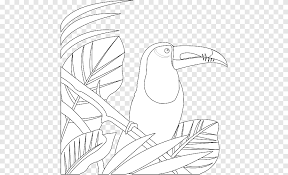 Tropischer Regenwald Dschungel Tropen Amazon Regenwald Amazonas Regenwald Winkel Png Pngegg