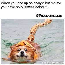 Kdurg On Instagram Guys Let Me Be Clear We Are Screwed Iappearedtoknowwhatiwasdoing This Infact Nurse Humor Nurse Memes Humor Nurse Training