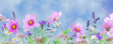 Spring bank holiday is on the 150st day of 2022. Spring Bank Holiday Hatha Yoga With Lisa In Winchmore Hill N21 Chingford E4 With Lisa Hemmings
