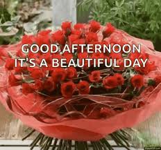 Good afternoon all my friends. Flowers Good Afternoon Gif Flowers Goodafternoon Beautifulday Discover Share Gifs