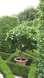 Oscar De La Renta Beautiful Gardens Gorgeous Gardens Dream Garden