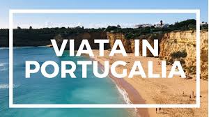 I recommend the rabbit stew (usually on the saturdays specials), the grilled codfish and their bbq chicken is the best i ve tried on. Vlog Viata In Portugalia Algarve