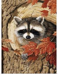 Raccoon Wall Art Canvas Prints Framed Prints Wall Peels Cute Raccoon Raccoon Art Animals Beautiful