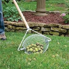 Nut Wizard A Rolling Barrel To Collect Nuts Golf Balls Sweet Gum Balls Etc Home Vegetable Garden Garden Tools Sweet Gum