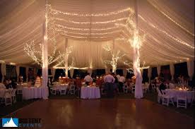 Big Tent Events Tent And Party Rental Tent Lighting Wedding Rentals Party Rentals Table Aand Chair Rental Chicago Il