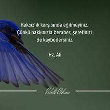 Edebi Akim Edebi Akim Instagram Fotograflari Ve Videolari 2020 Ilham Veren Sozler Ilham Veren Alintilar Alintilar