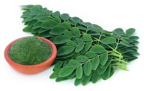 Cara mengolah daun kelor pertama yang dapat anda lakukan adalah dengan mengkonsumsinya secara langsung ketika baru saja dipetik. 5 Cara Mengolah Daun Kelor Untuk Kesehatan Lengkap