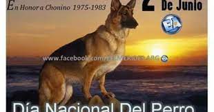 Hoy de 2 junio se conmemora el día del perro; Dia Nacional Del Perro En Honor A Chonino Perros Dia Del Perro Dia Nacional